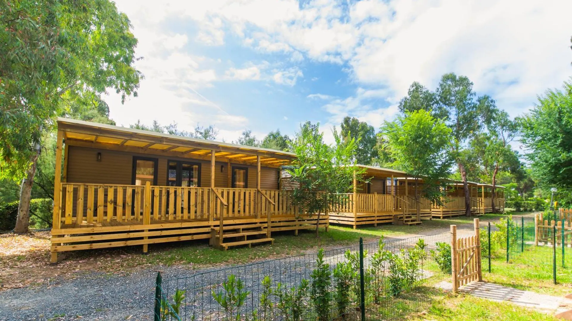 Camping Le Palme Marina Di Bibbona Campeggio