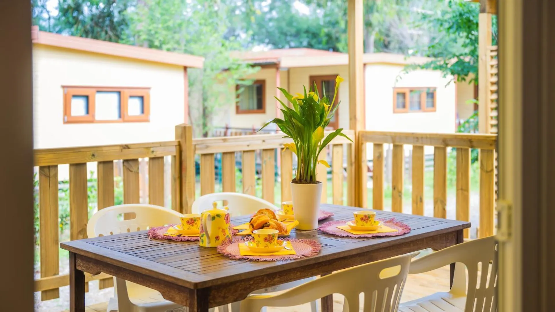 Camping Le Palme Marina Di Bibbona