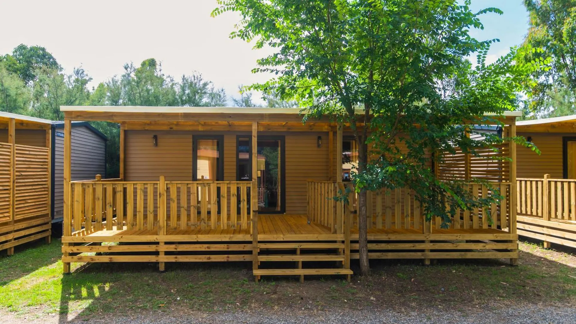Campeggio Camping Le Palme Marina Di Bibbona