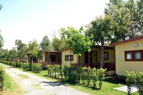 Camping Le Palme Marina Di Bibbona Campingplatz